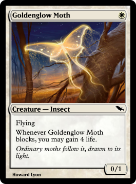 Goldenglow Moth