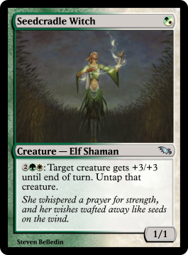 Seedcradle Witch