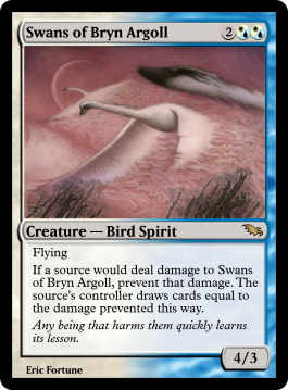 Swans of Bryn Argoll