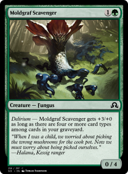 Moldgraf Scavenger