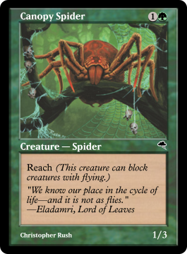 Canopy Spider