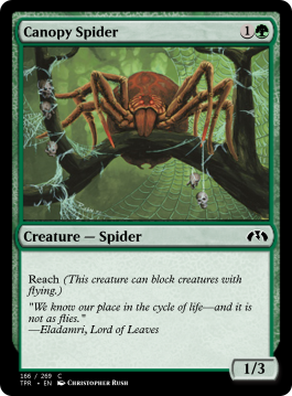 Canopy Spider