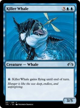 Killer Whale
