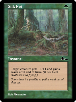 Silk Net