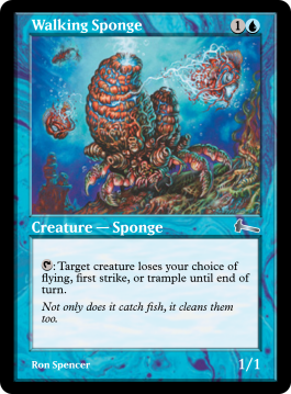 Walking Sponge