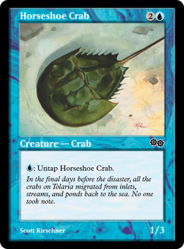 Horseshoe Crab