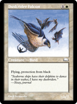 Duskrider Falcon