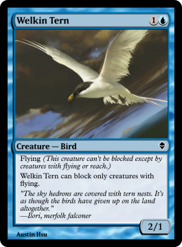 Welkin Tern